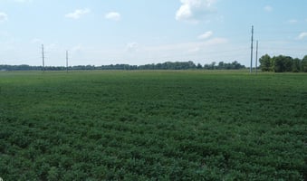 26420364
