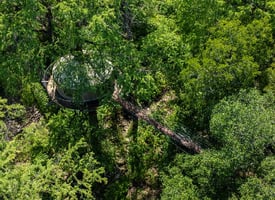 27130314