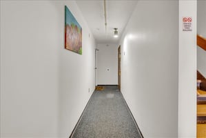 29804907