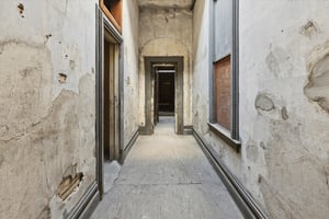 26445326