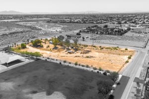 26445544
