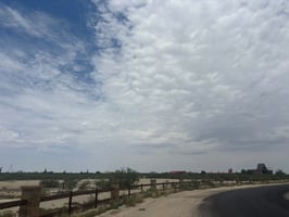 26459357