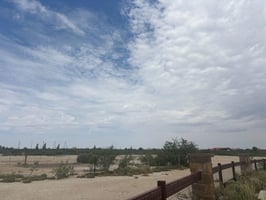 26459354