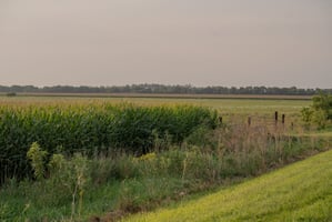 26508205