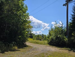 26516954