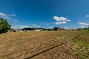 26520834