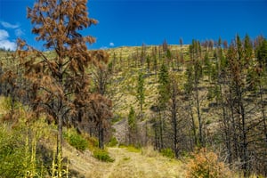 26526410