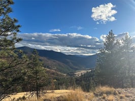 27593944