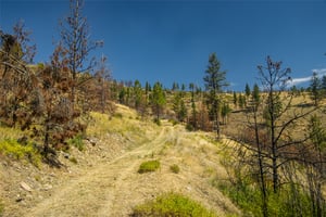 26526412