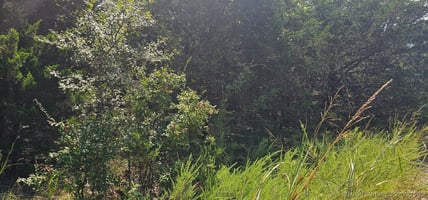 26526805