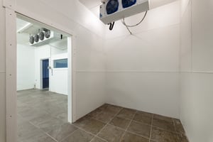 26534646