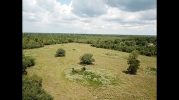 26537424