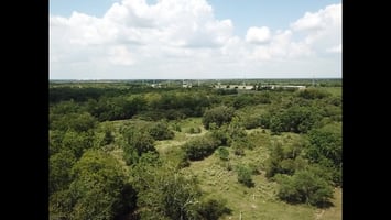 26537441
