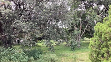 26537941
