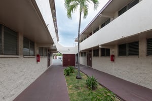 26541081