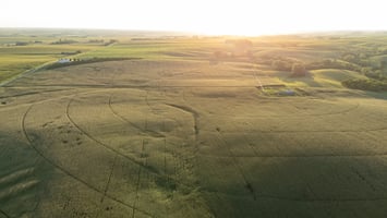 26544769