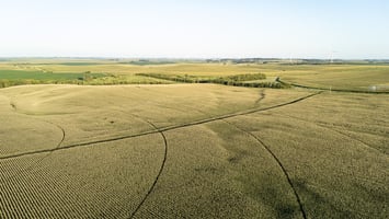 26544747