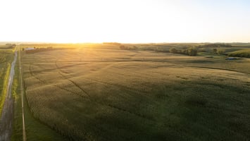 26544763
