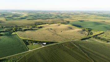 26544754
