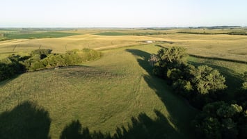 26544759