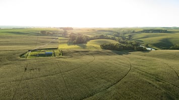 26544762