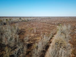 26544942