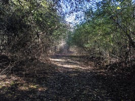 26546262