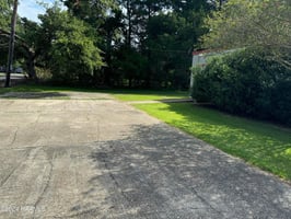 31347202