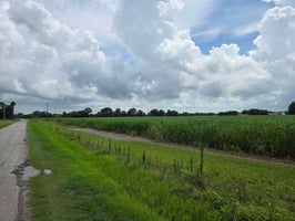 26583762