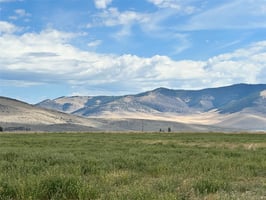 29505753