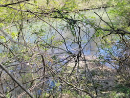 26631365