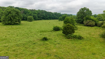 26643942