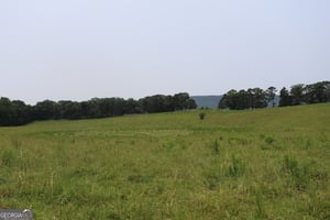 26643981