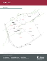 31523251