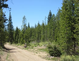 26654328