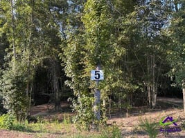 26652377