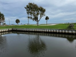 26652678