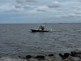 26652689