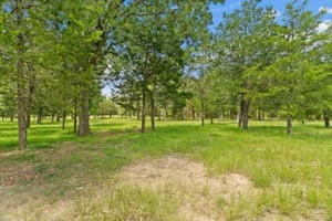 26654351