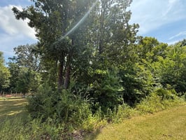 27536154