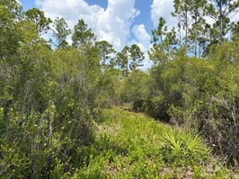 28925797