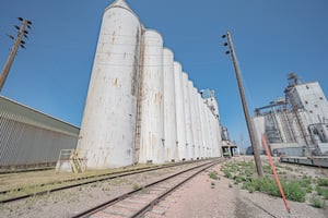 26869456