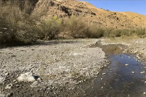 26673626