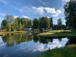 26679491
