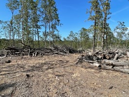 27536380