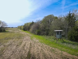 26688841