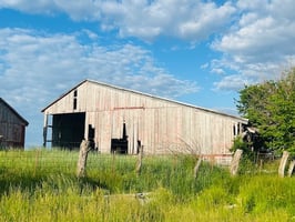 26690898