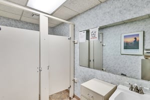 26842894