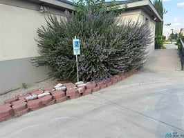 26847616
