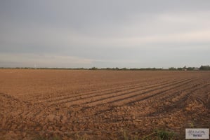 26775407